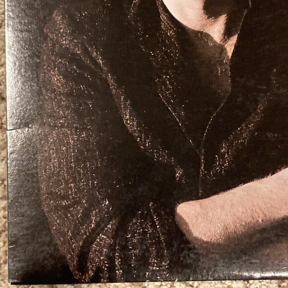 Don Henley 1984 Building The Perfect Beast Vinyl Record Album - Picture 2 of 10